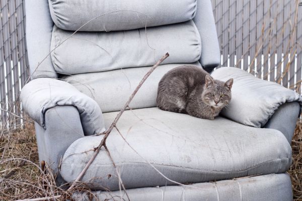 Recliner Disposal in Roanoke